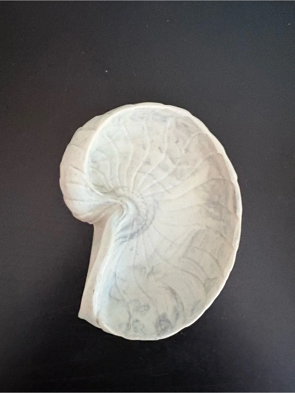 Shell shaped soap dish